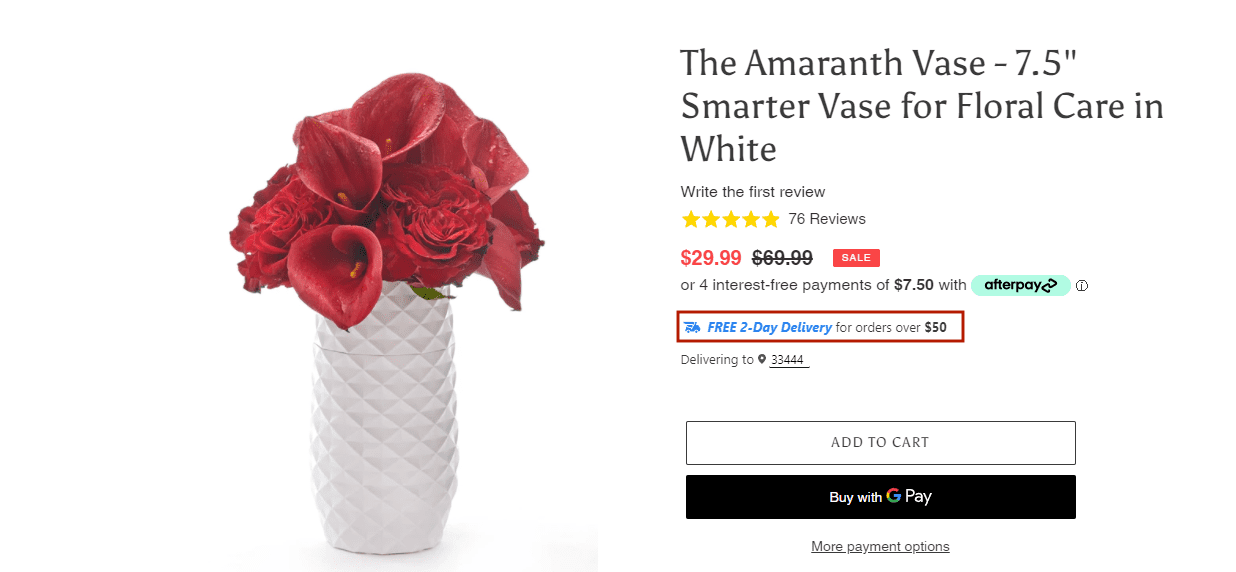 Free 2-day delivery fast shipping badge on Amaranth Vase product listing